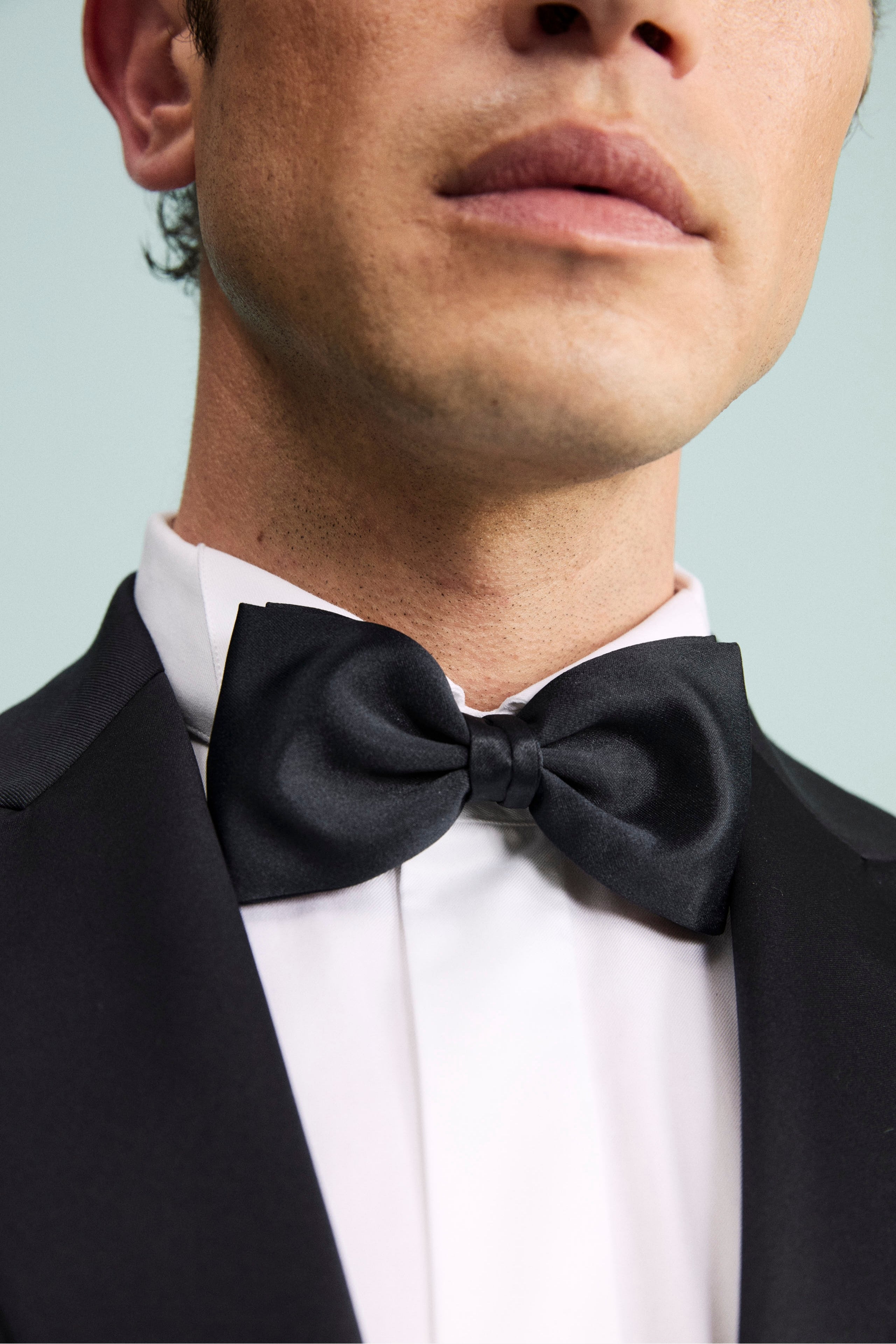 Papillon annodato - BLU