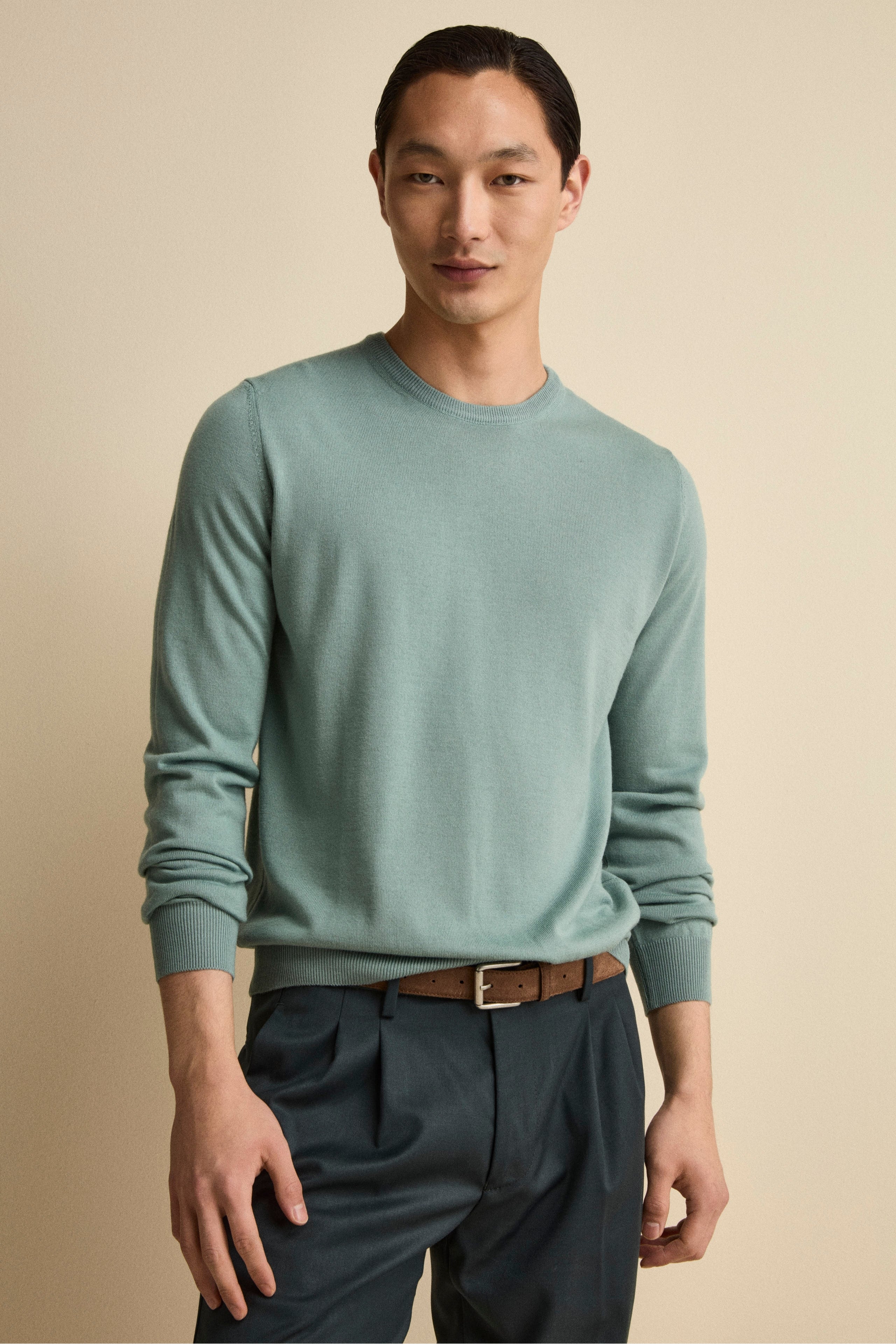 Merino Wool Crewneck Sweater - Sage green