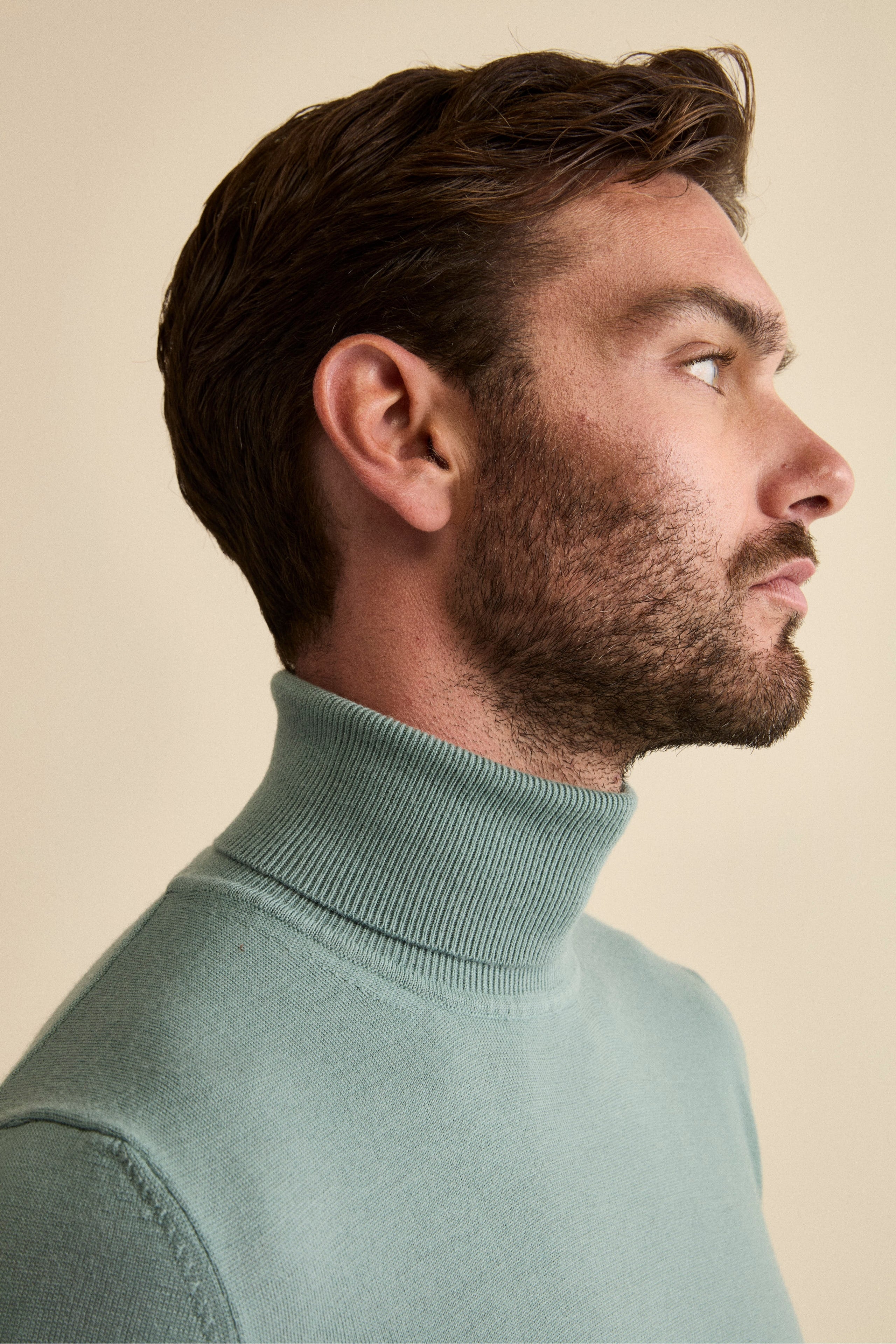 Merino Wool Turtleneck - Sage green