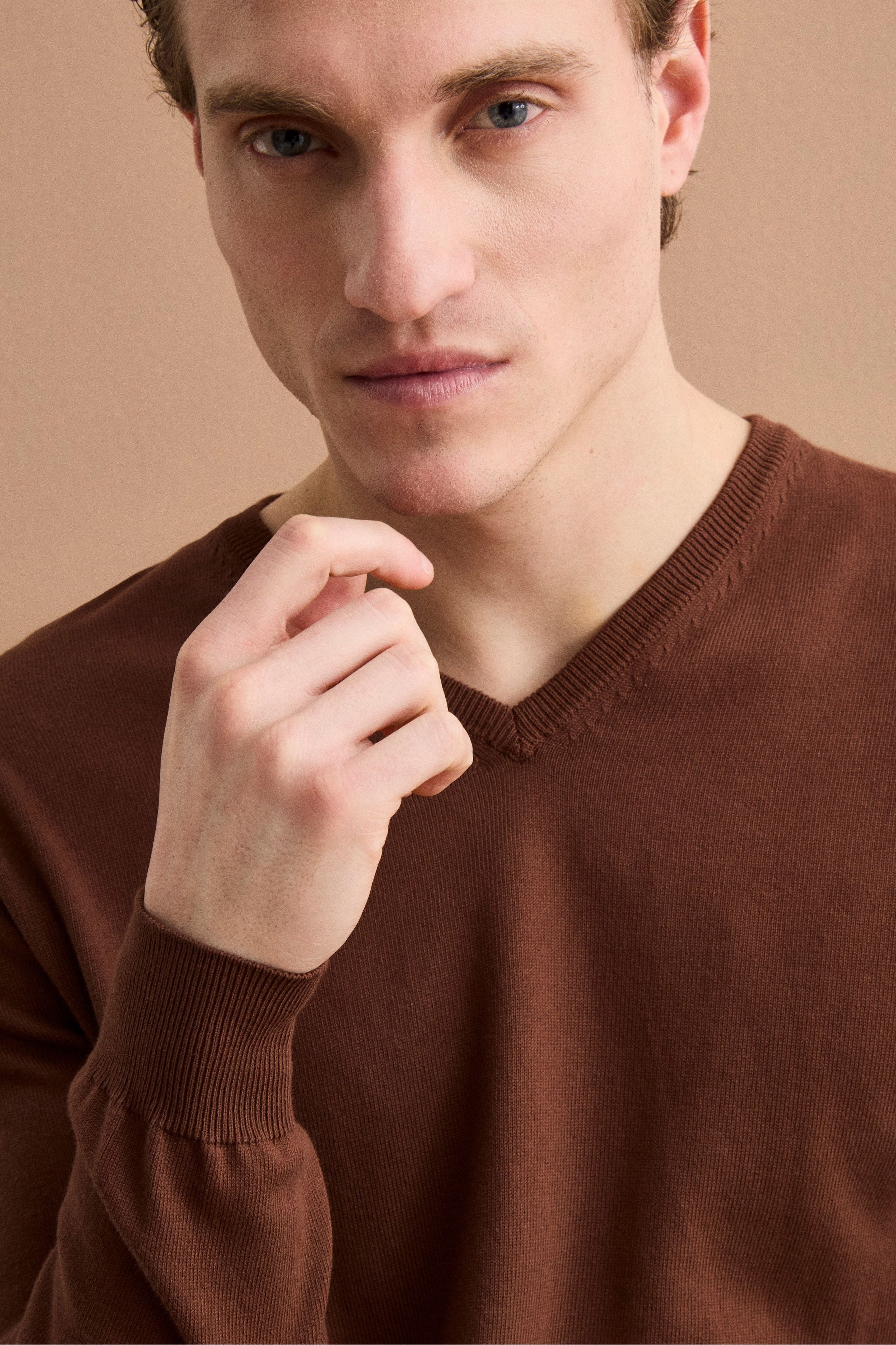 Herren Regular-Fit V-Ausschnitt Pullover aus Baumwolle - braun