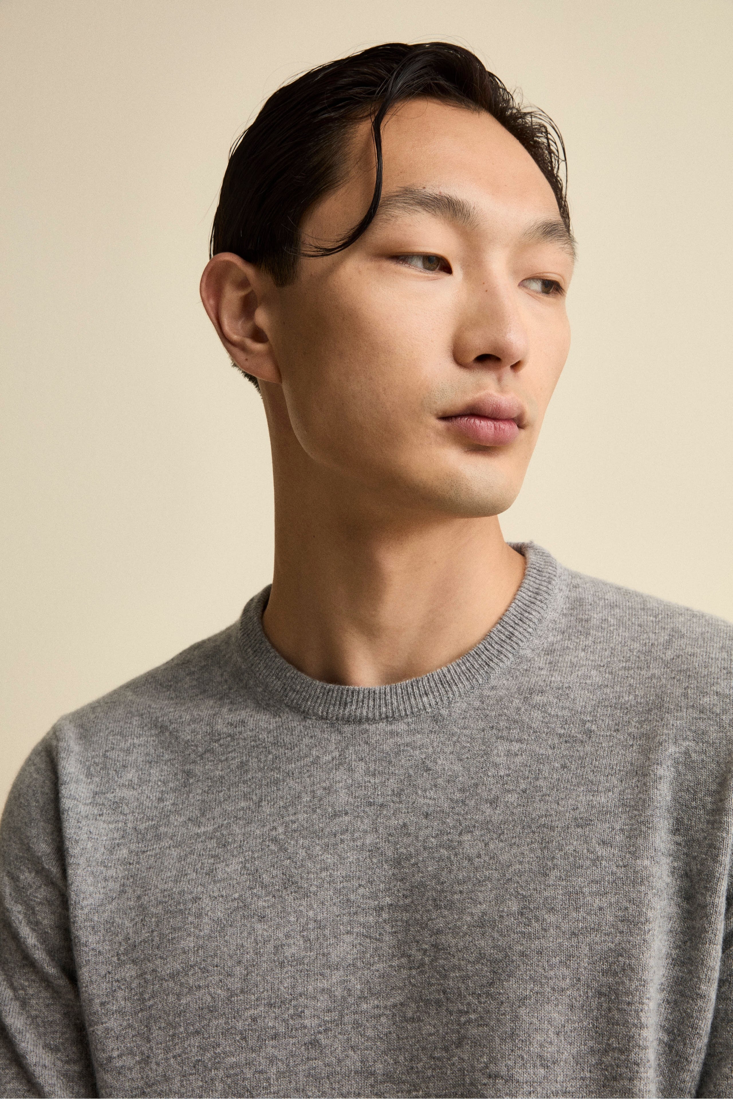 Crew-Neck Regular Fit Sweater in Merino Wool - Grey melange