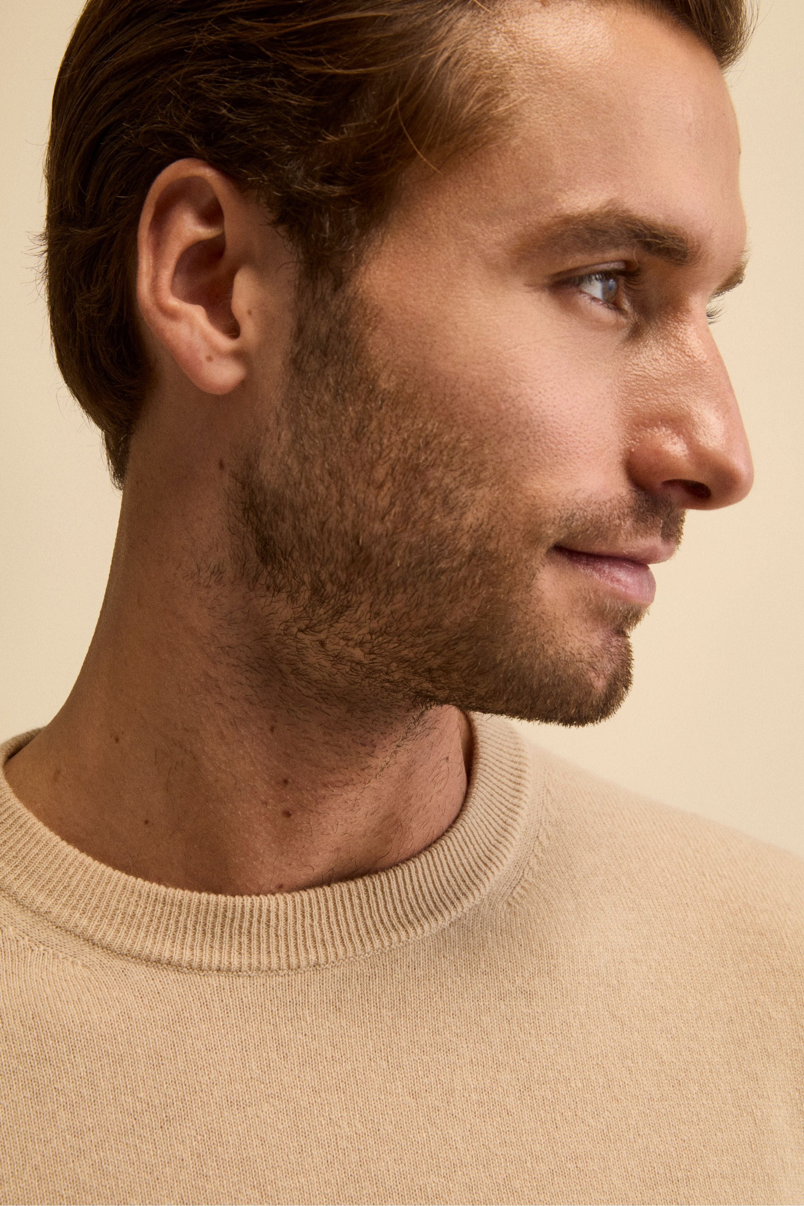 Crew-neck sweater in wool - Sand brown