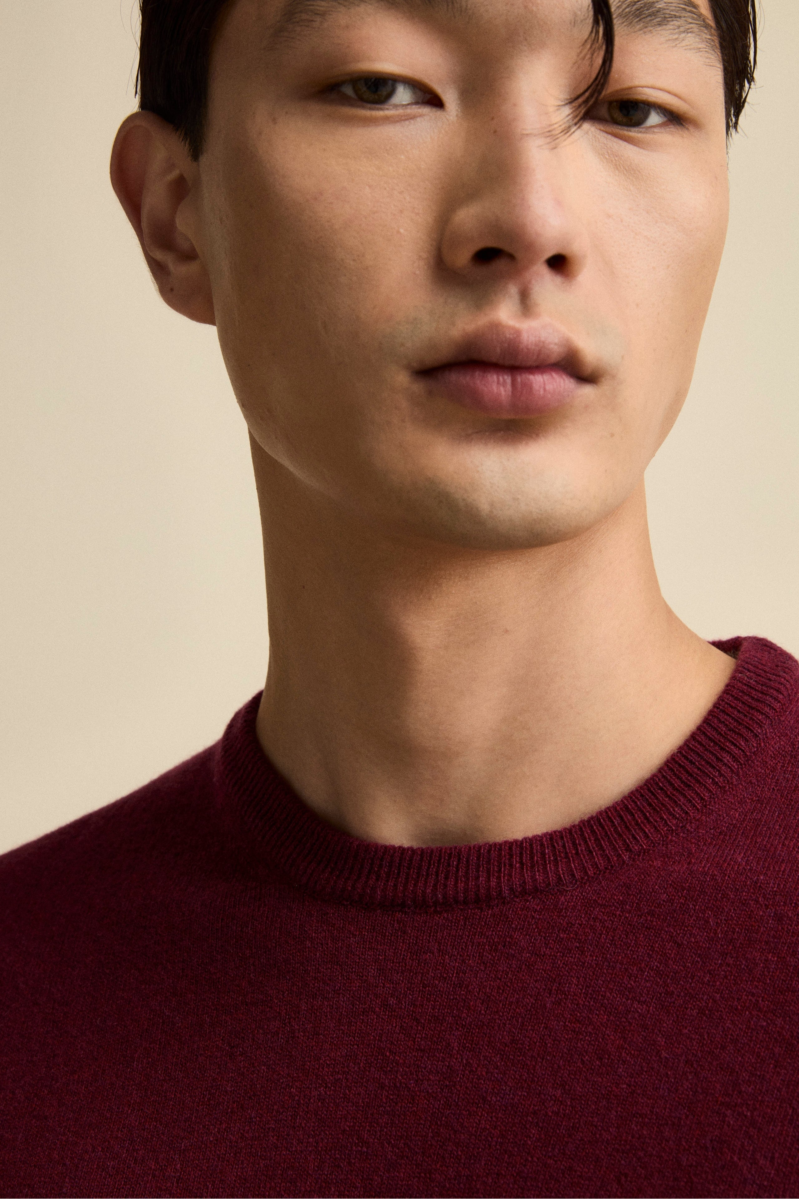 Crew-Neck Regular Fit Sweater in Merino Wool - Burgundy