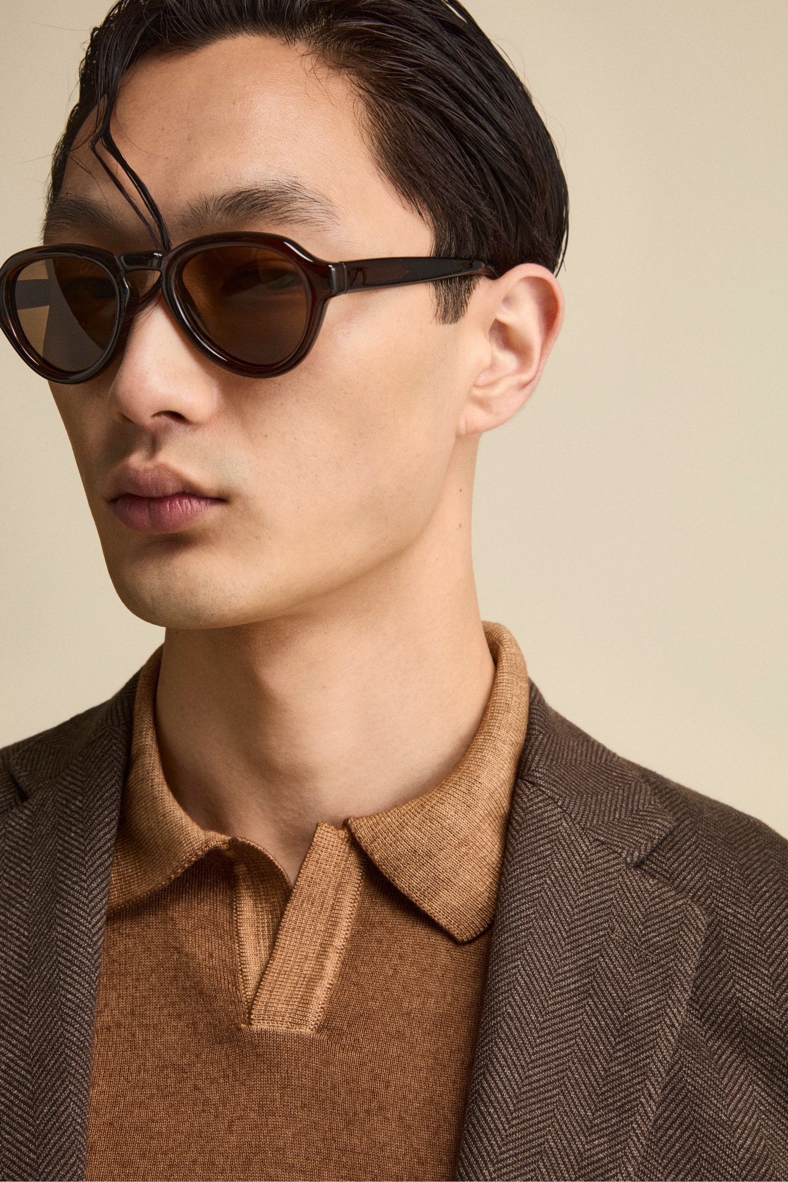 Single-Breasted Regular Fit Jacket with Notch Lapels - Dark brown