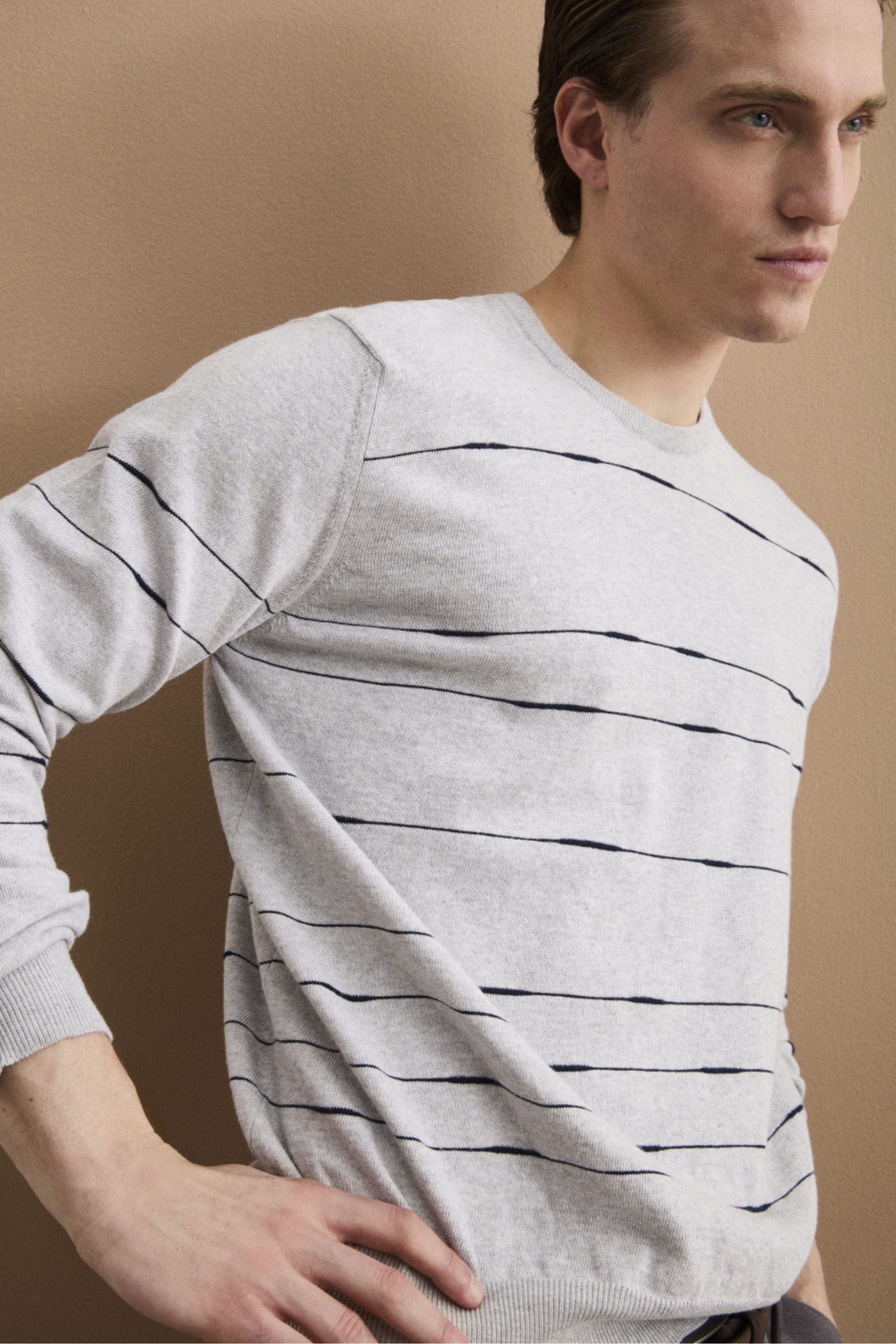 Maglia Girocollo a Righe Regular Fit in Cotone - GRIGIO/BLU
