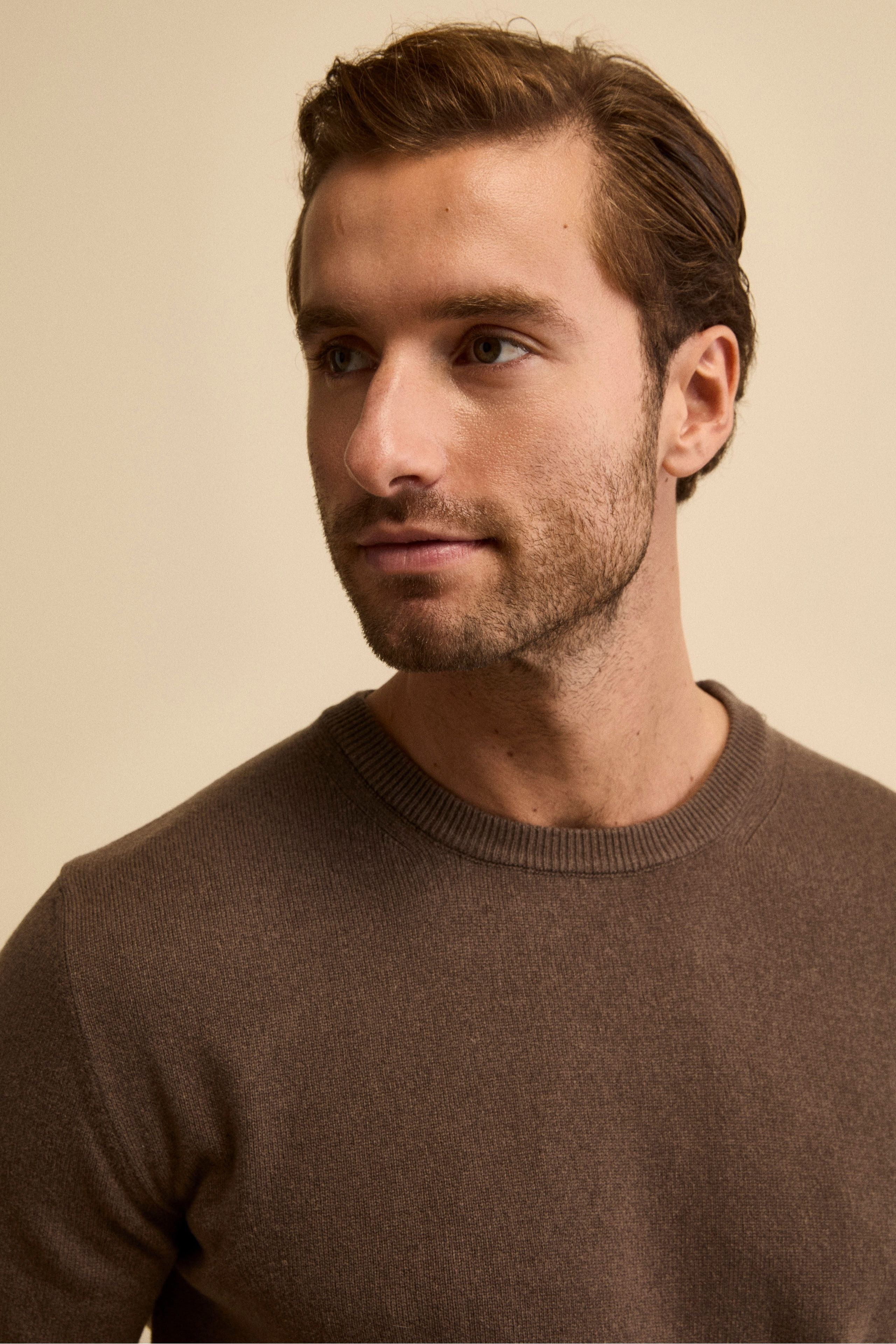 Cashmere and silk crew neck - Cacao brown