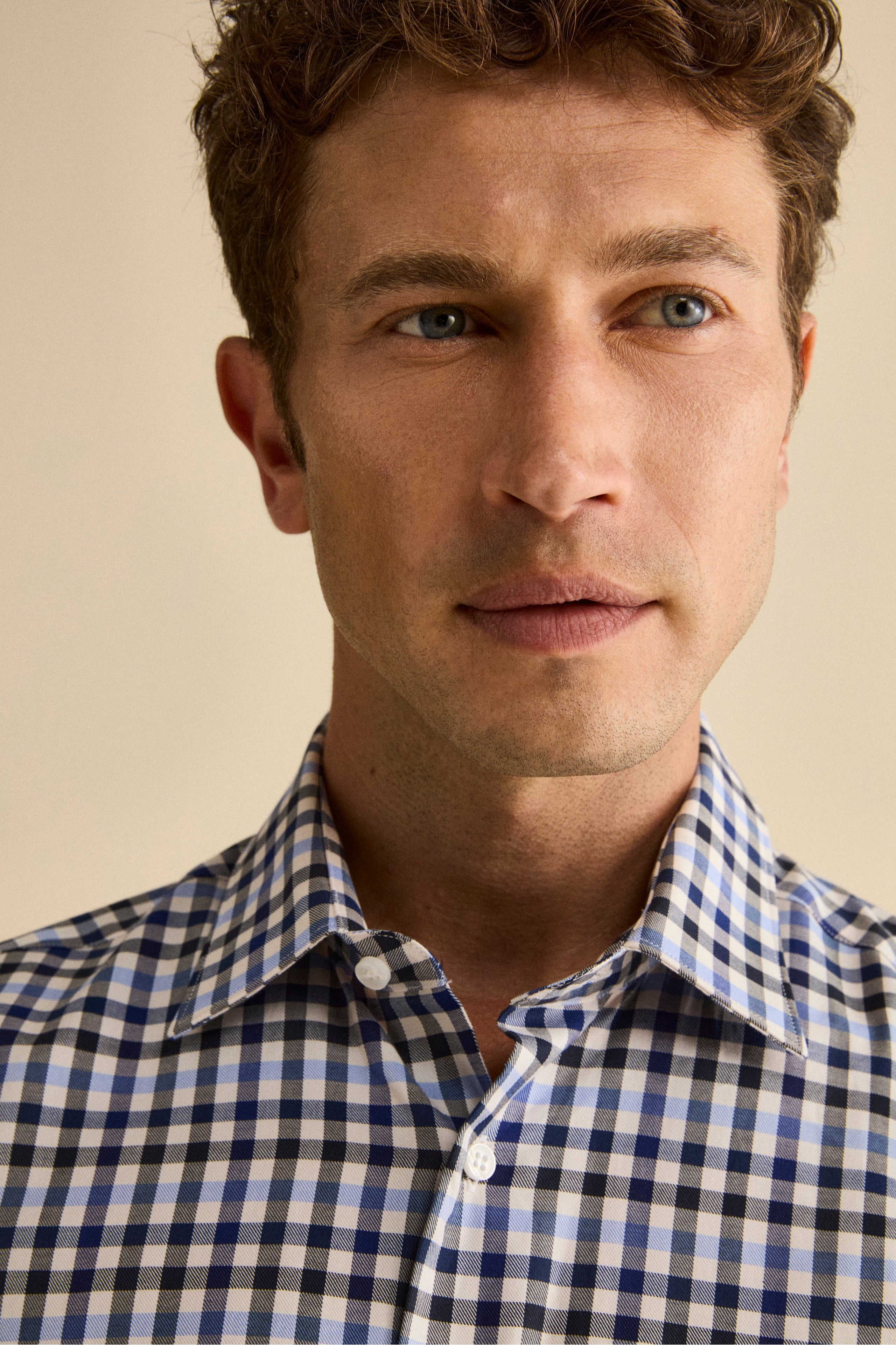 Cotton Checked Shirt Regular Fit - Blue check