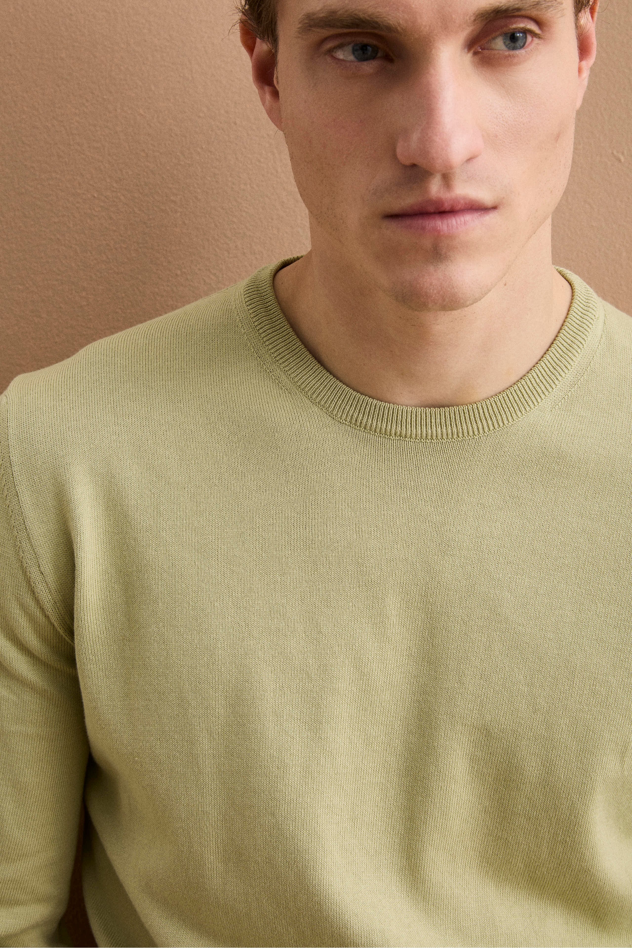 Maglia girocollo in cotone - SALVIA