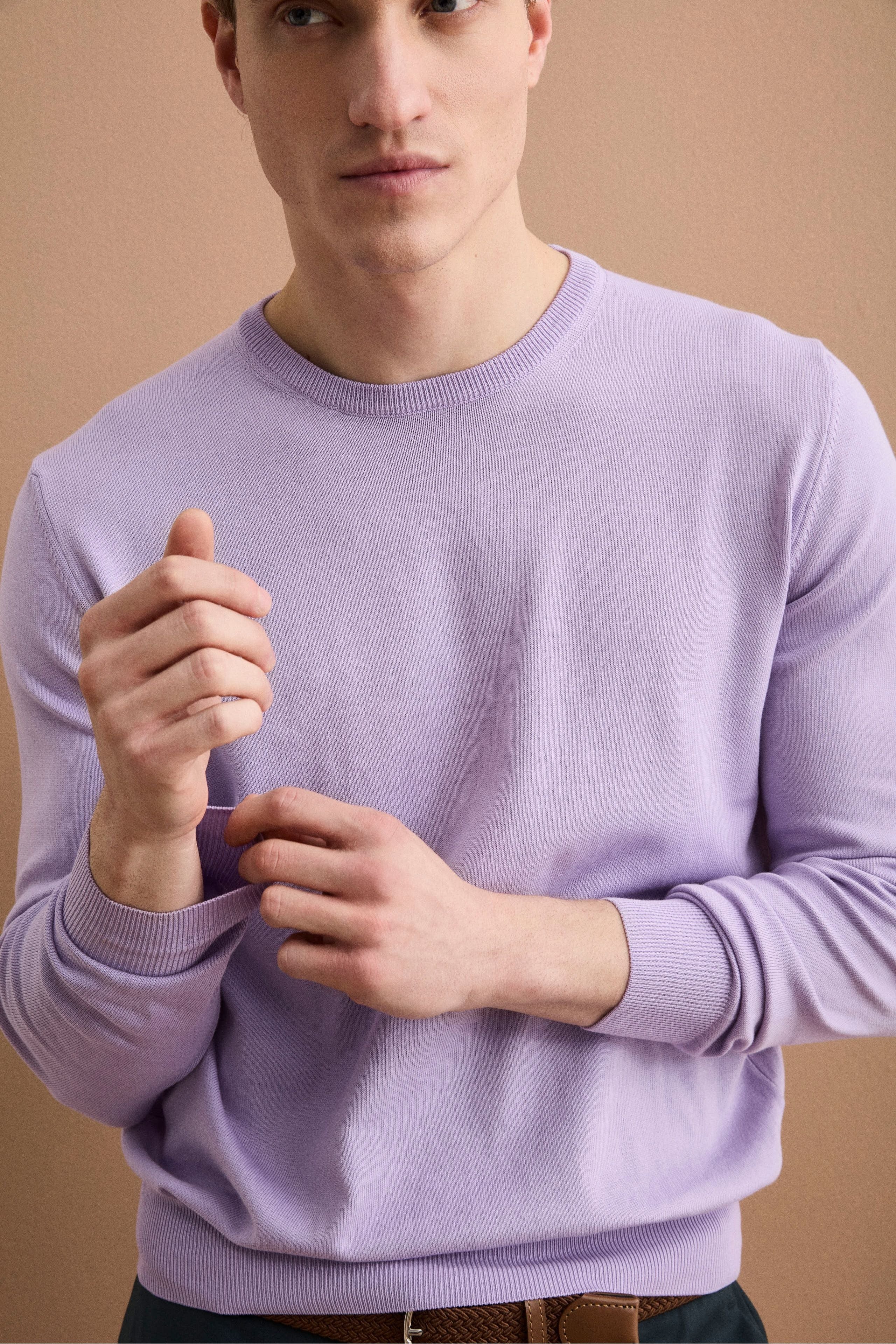Baumwollpullover mit Rundhalsausschnitt - Lavendel