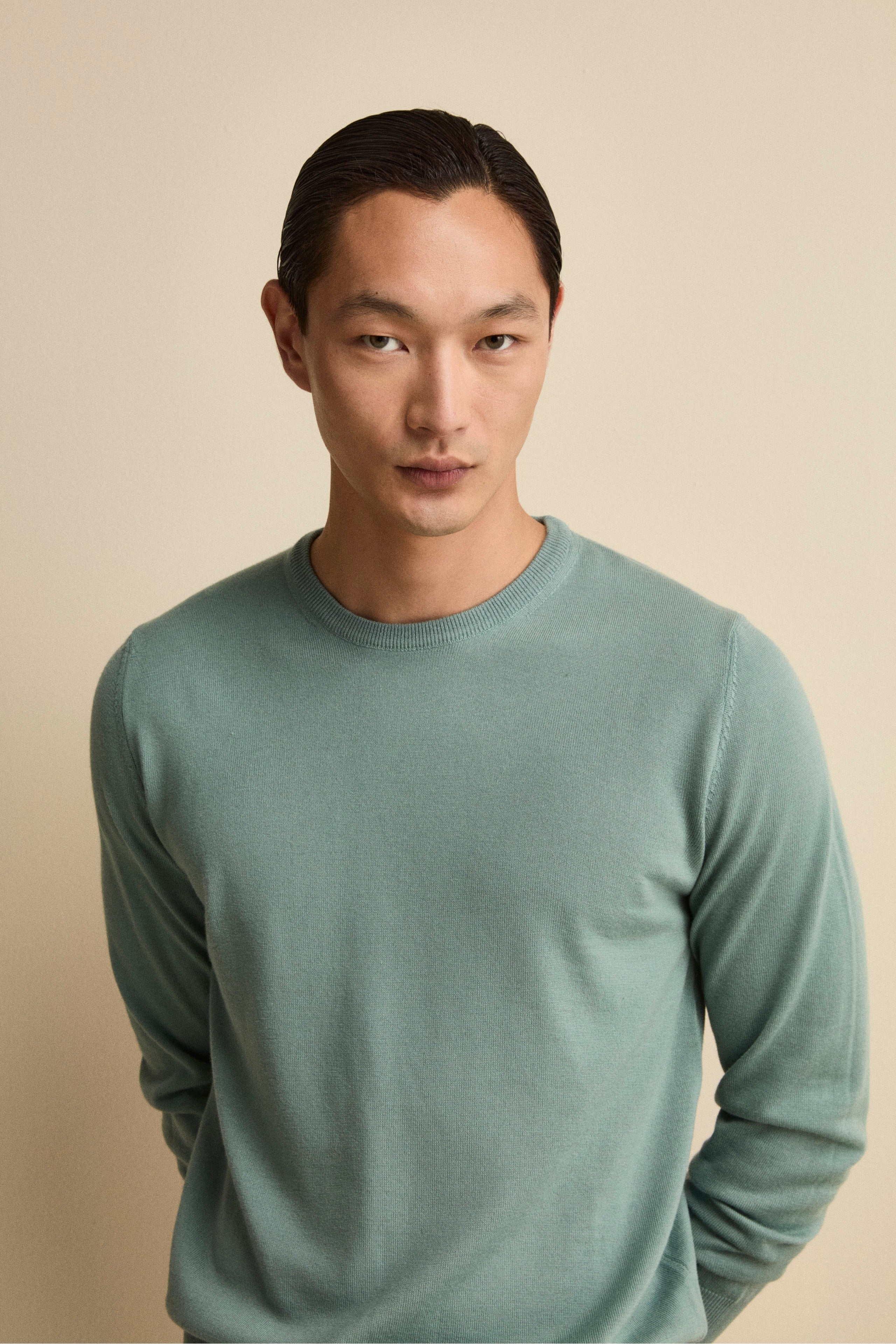 Merino Wool Crewneck Sweater - Sage green