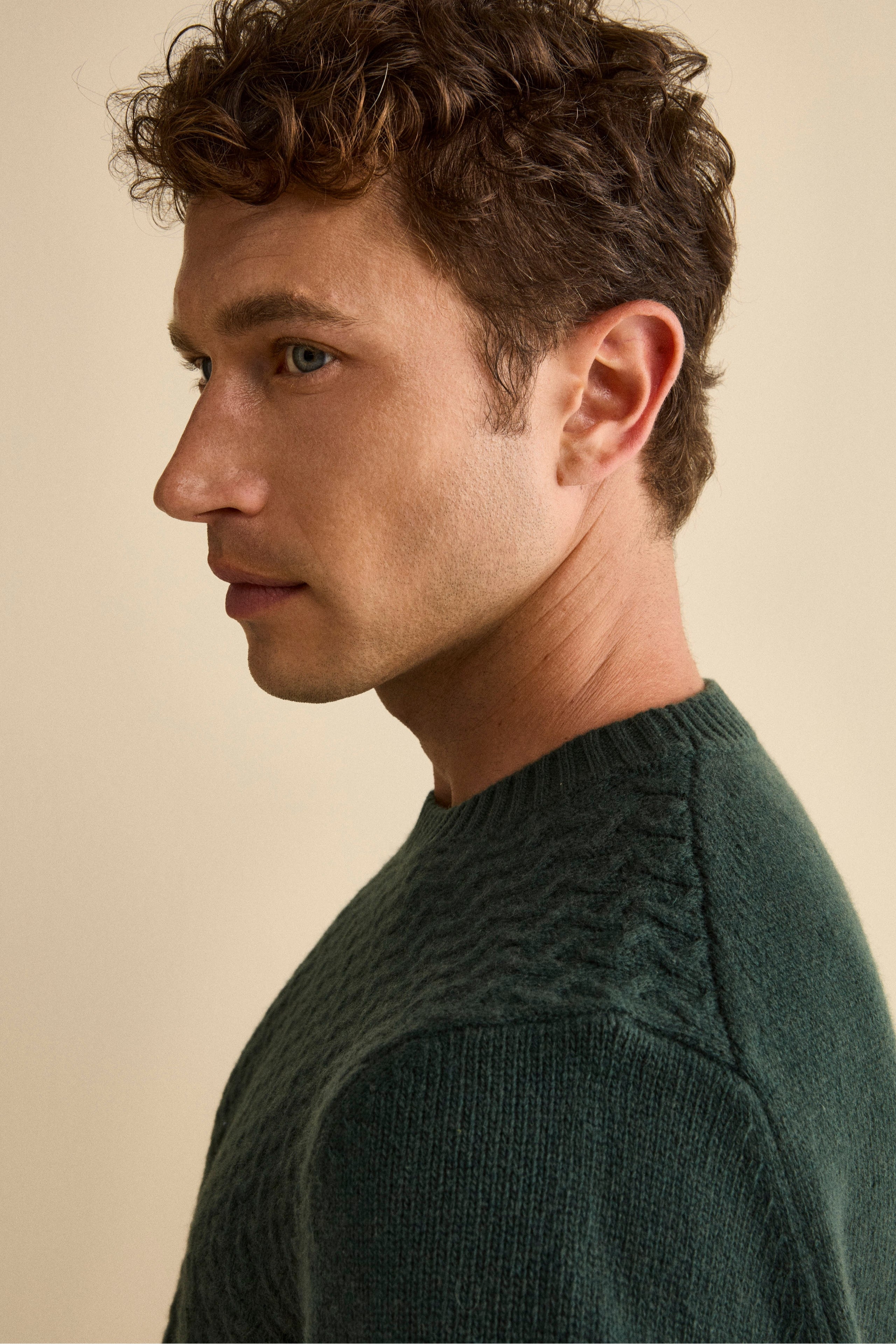 Pull Col Rond en Laine à Torsades - VERT