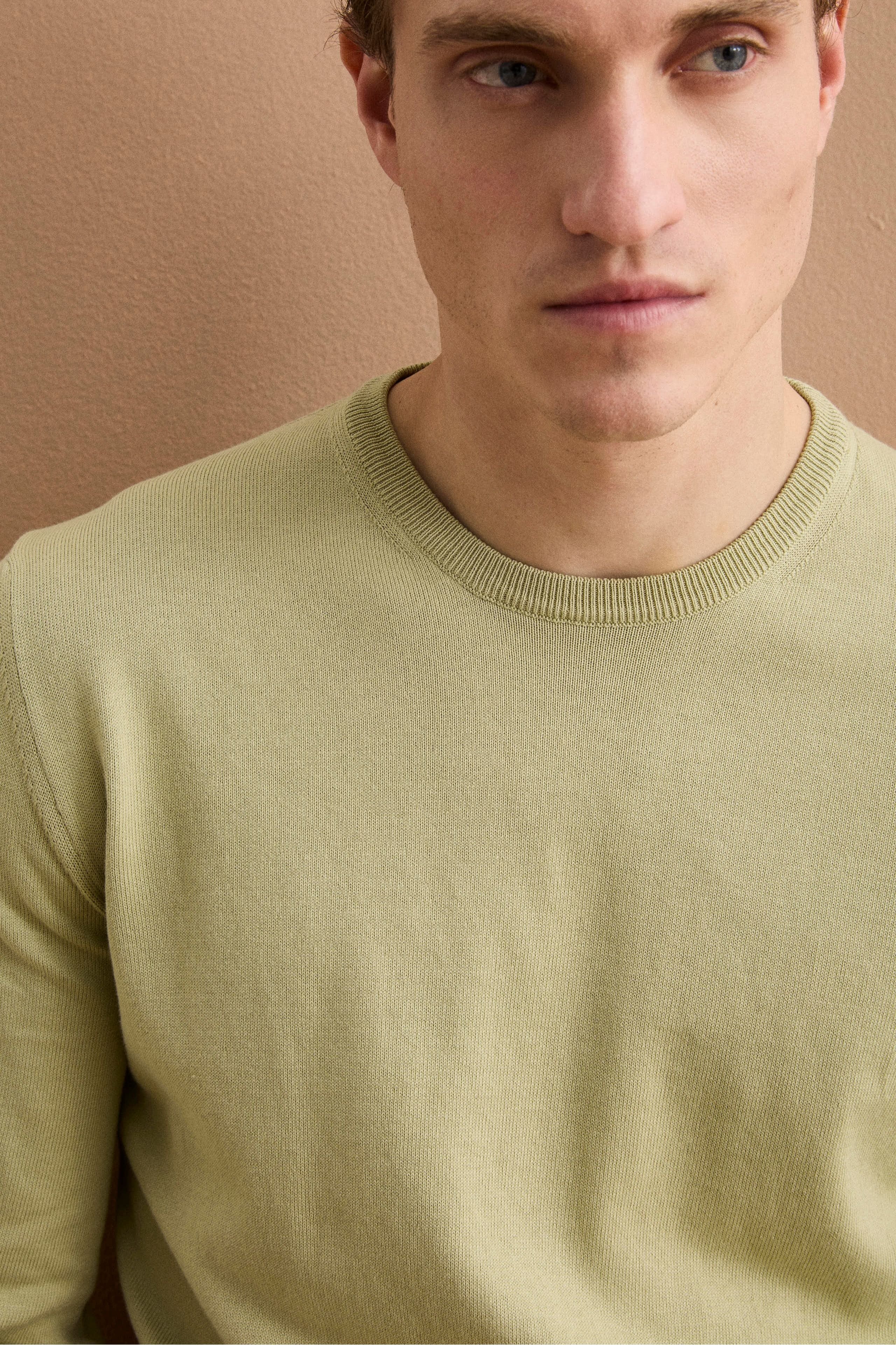 Baumwollpullover mit Rundhalsausschnitt - Salbei grün