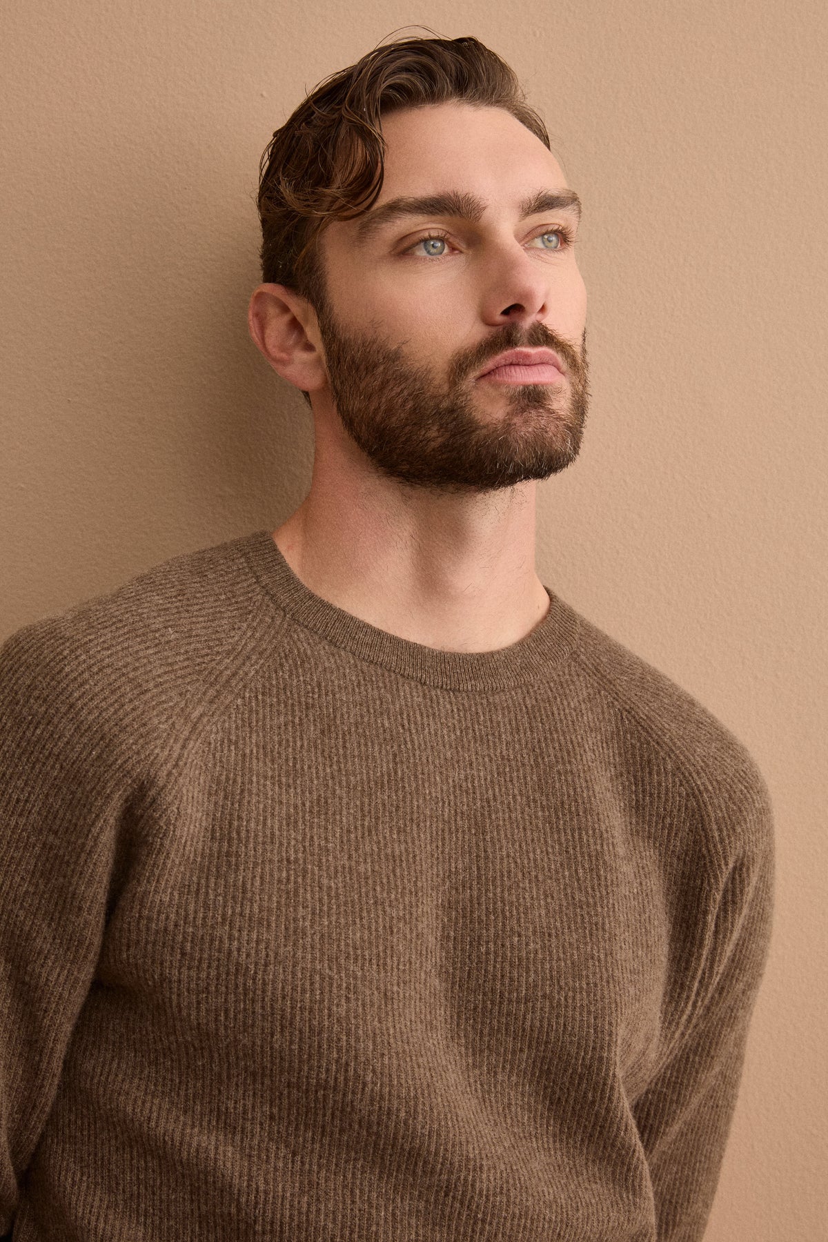 Pull Homme Col Rond en Laine Mérinos à Côte Anglaise - Marron noyer