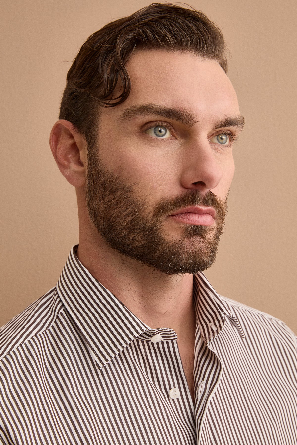 Camicia a Righe in Cotone con Collo Classico Regular Fit - RIGATO MARRONE B/BIANCO