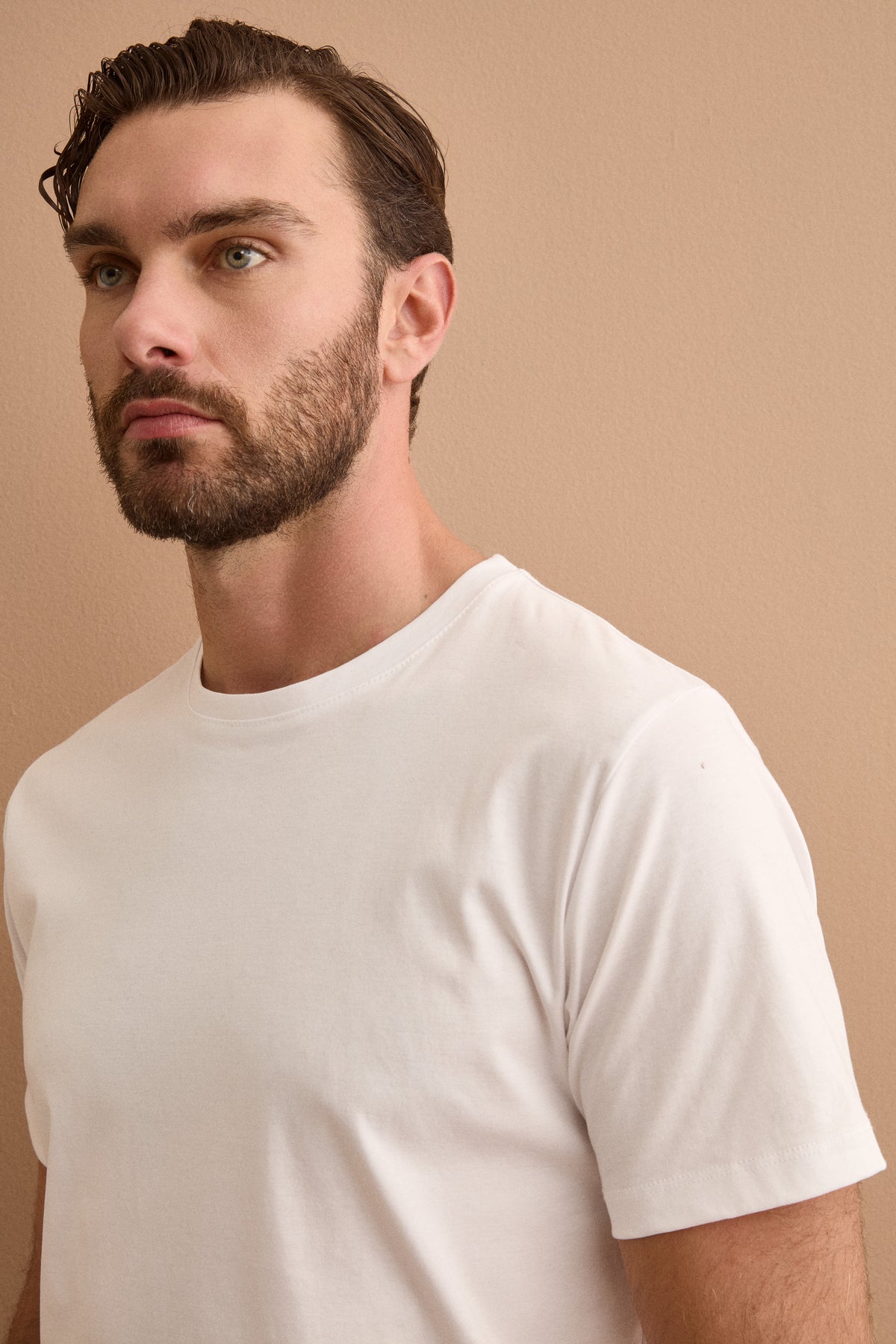 T-Shirt Homme Col Rond en Pur Coton - BLANC